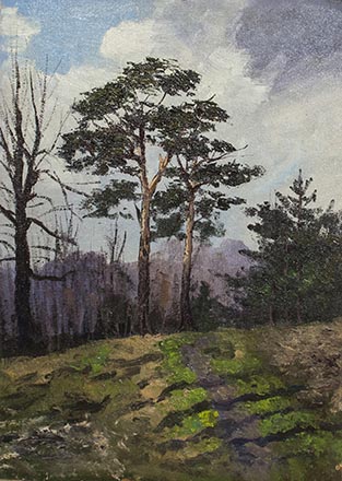 Лисенков С.С.